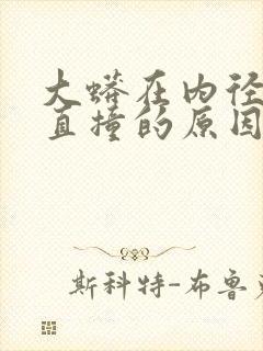 大蟒在内径横冲直撞的原因