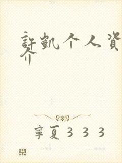 许凯个人资料简介