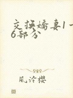 交换娇妻1一36部分