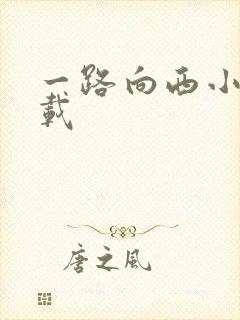 一路向西小说下载
