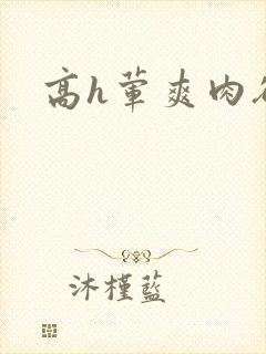 高h荤爽肉欲文