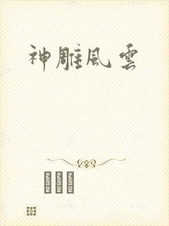 神雕风云