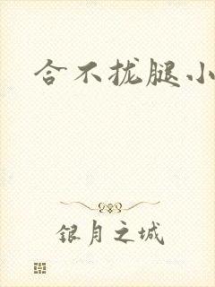 合不拢腿小说