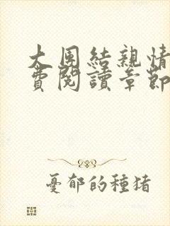 大团结亲情会免费阅读章节