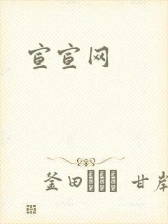 宣宣网