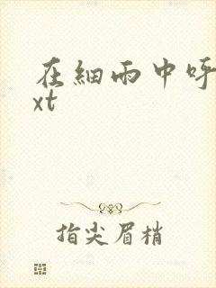 在细雨中呼喊txt