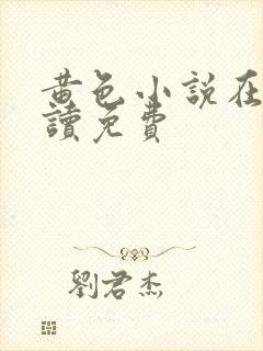 黄色小说在线阅读免费