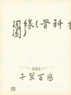 因缘(骨科 校园)