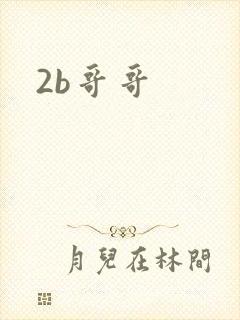 2b哥哥