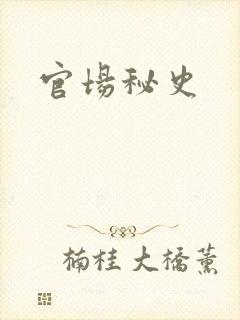 官场秘史