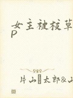 女主被校草们NP