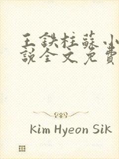 王铁柱苏小汐小说全文免费阅读最新章节