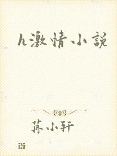 h激情小说