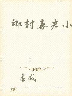 乡村春光小说