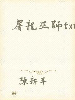屠龙巫师txt
