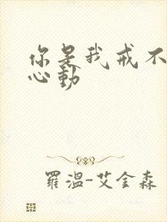 你是我戒不掉的心动