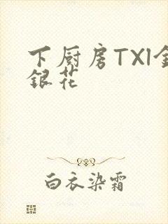 下厨房TXl金银花