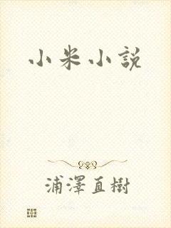 小米小说