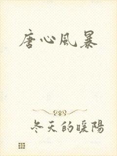 唐心风暴