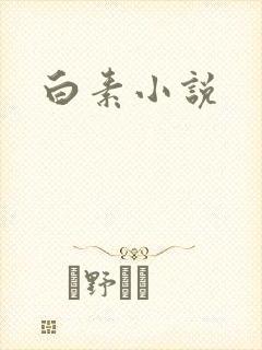白素小说