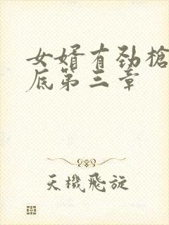 女婿有劲枪枪到底第三章