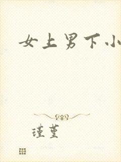 女上男下小说