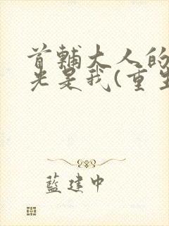 首辅大人的白月光是我(重生)