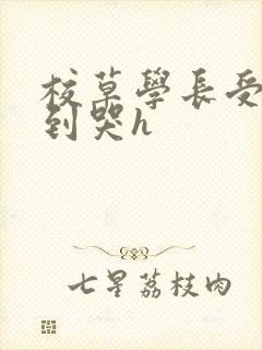 校草学长受被做到哭h