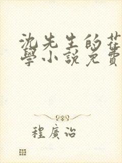 沈先生的花式教学小说免费