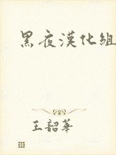 黑夜汉化组