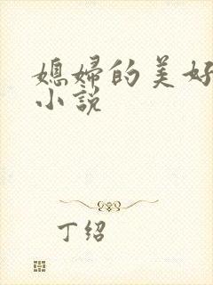 媳妇的美好时代小说