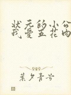 状元的小公主(我爱五花肉)