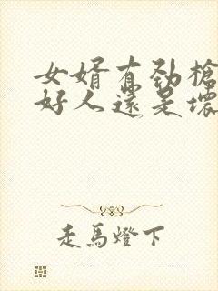 女婿有劲枪枪是好人还是坏人