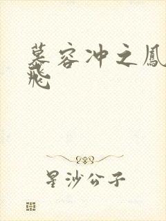 慕容冲之凤凰于飞