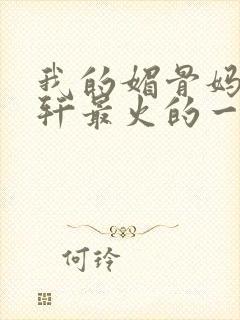 我的媚骨妈妈林轩最火的一句