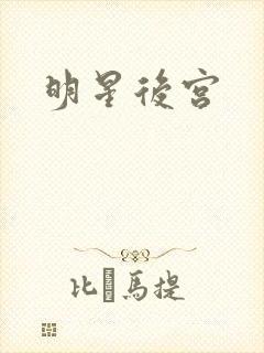 明星后宫