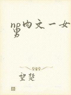 np肉文一女多男