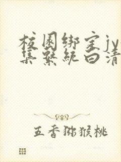 校园绑定jy收集系统白清素