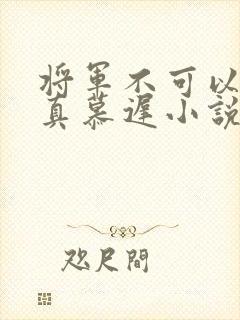 将军不可以魏云真慕迟小说笔趣阁