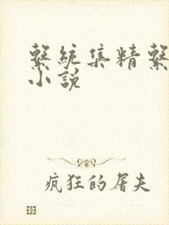 系统集精系统 小说