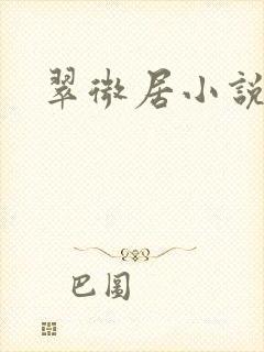 翠微居小说