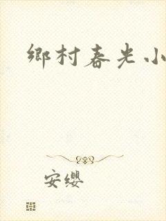 乡村春光小说