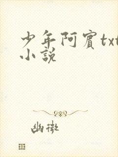 少年阿宾txt小说