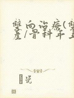 双向治疗(双/产/骨科年上)