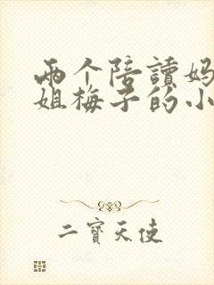 两个陪读妈妈赵姐梅子的小说