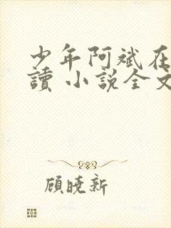 少年阿斌在线阅读 小说全文免费