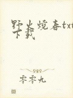 野火烧春txt下载