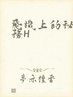 飞机上的秘密服务H