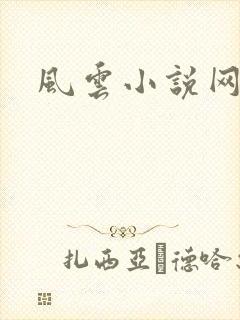 风云小说网