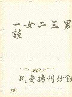 一女二三男事小说